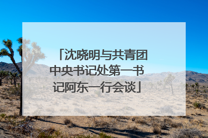 沈晓明与共青团中央书记处第一书记阿东一行会谈